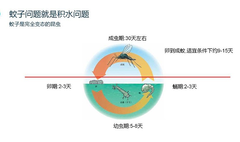 蚊子,滅蚊,別墅客戶,怎么滅蚊子,美汐環境